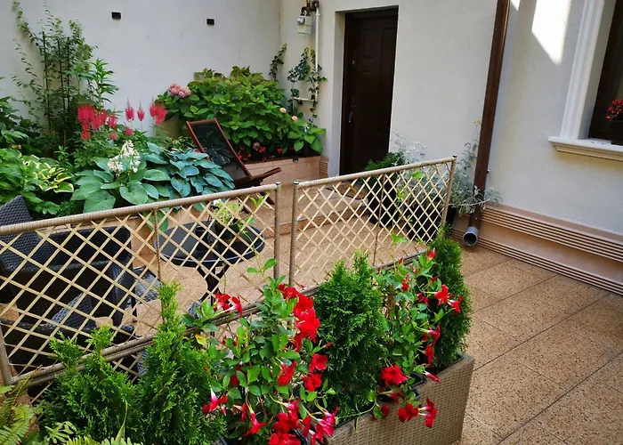 Cozy Green House